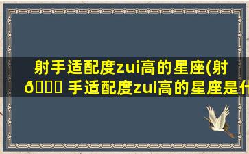 射手适配度zui
高的星座(射 🐅 手适配度zui
高的星座是什么 🌷 )
